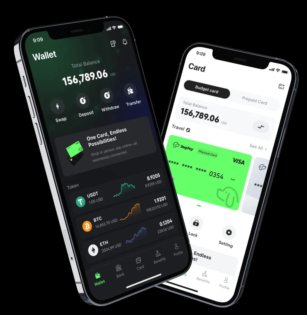 DogPay Personal Bank - U.S. Bank Account for Global Users