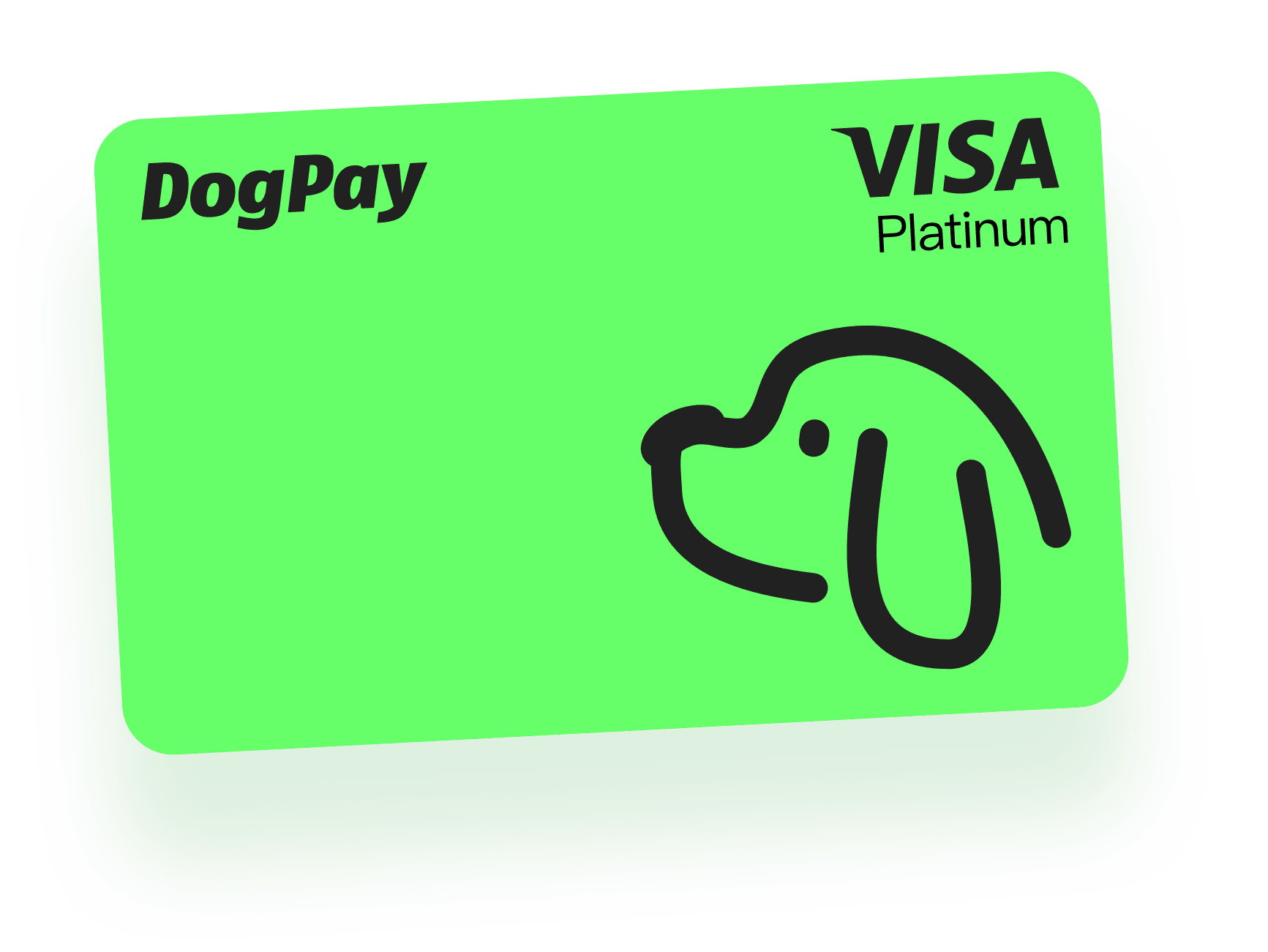 Dogpay-狗子卡-美区卡